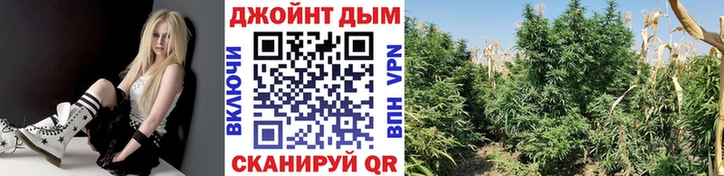 Купить закладки  Донецк  Бошки Шишки Amnesia 